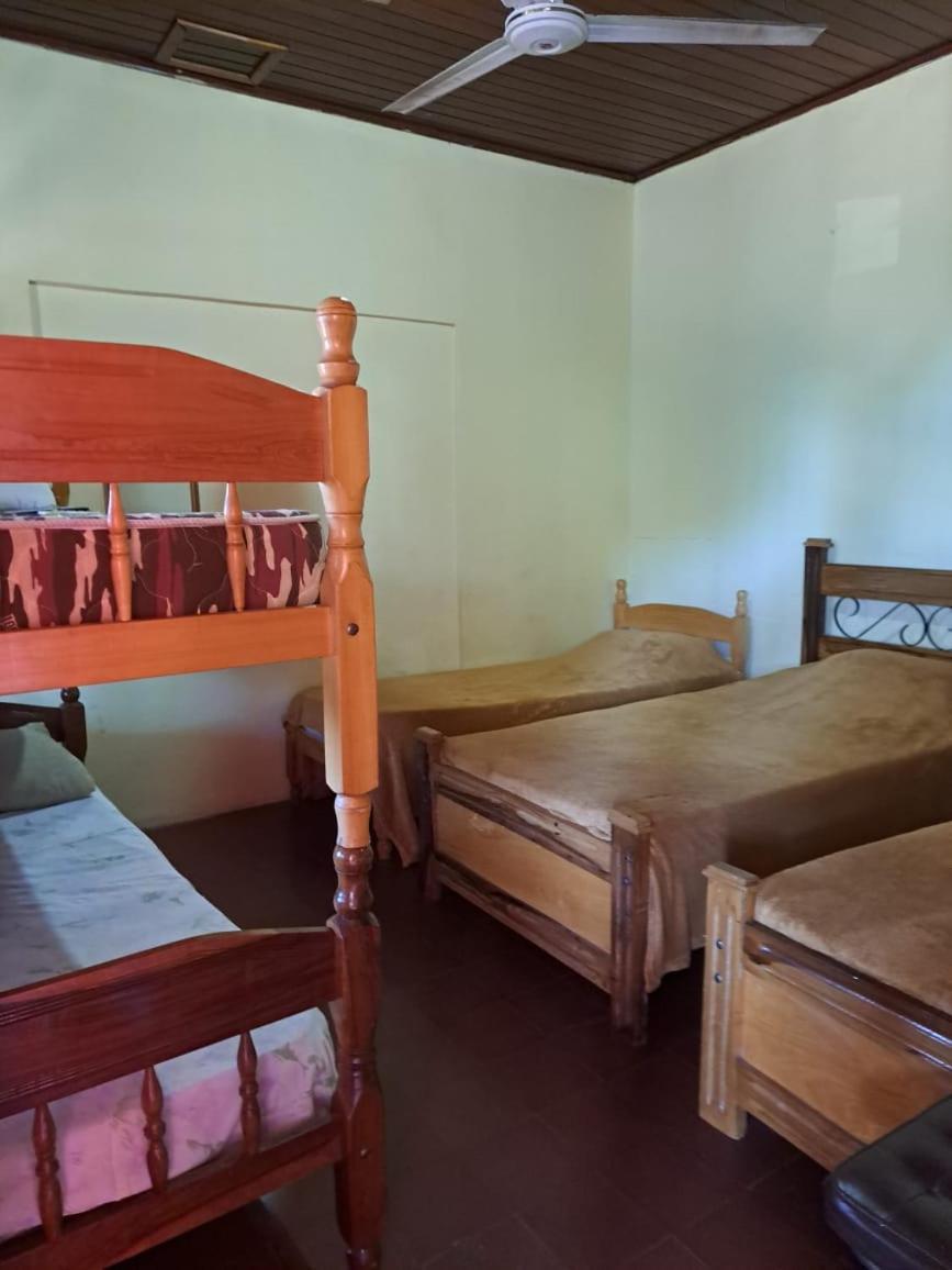 Hummingbird Hostel Ciudad del Este Luaran gambar